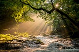 From Chaos to Clarity: Your Heartfelt Guide to Serenity