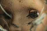 A lost, broken doll