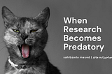 An image of a grayish cat sticking its tongue out with a mysterious look. Text on the right side reads “When research becomes predatory” in white-colored font and the author’s name written below it in English and Urdu