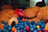 Curious indeed! This is a photo taken from inside a ball pit, that has been set up in the back of a minivan, a giant teddybear is forming a barricade (bear-icade?) between the playpen balls and the driver’s seat; you can look out through the front windshield at where the van is parked.