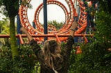 On the Gender Roller Coaster