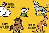 【育兒共學筆記：母奶系列＃2】『餵個奶怎麼那麼難？從生物觀點切入就對了！』