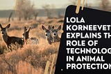 Lola Korneevets Explains The Role of Technology in Animal Protection