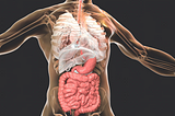 Gut Dysfunction Isn’t Just About Bloating — It’s a Systemic Issue That Can Reshape Your Entire…