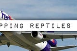 Shipping Reptiles 101