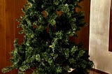 Percy the cat sitting underneath a Christmas tree