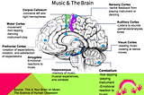 Discoveries on the Biological influence of Music