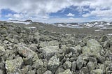 Steine, Schnee und Flechten: Durch Skarvheimen und Jotunheimen