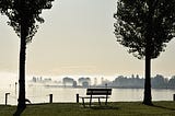 Greyscale image of empty bench seat between trees overlooking body of water