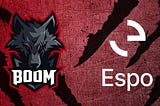 BOOM Esports — Team Partner Announcement