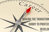 Making the Transition from Hobby to Professional Development