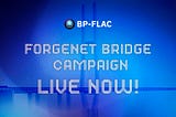 BP-FLAC Bridge Campaign Quick Start Guidance