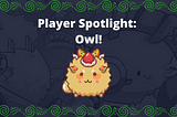Player Spotlight: OWL