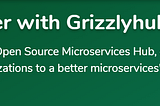 Manage your microservices exclusively with Grizzly Hub