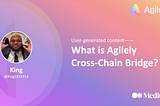 What is Agilely Cross-Chain Bridge?