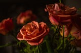 Roses & Romance