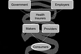 The X-Ray of a Tapeworm: Visualizing Money Flow in US Healthcare