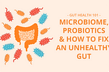Gut Health Beginner’s Guide: Fix Your Gut Naturally | Just Gut Science