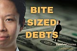 More debt isn’t the solution | Twelve Grains Capital