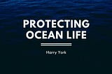 Protecting Ocean Life