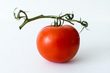 A Tomato Grows at Ground Zero