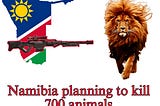 The Government of Namibia Ordered More than 700 Animals to kill, why?