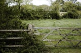 A green, leafy hedgerow and field, viewed through a faded wooden gate.