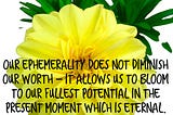 Ephemerality and The Power of Now