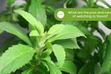 What are the pros and cons of switching to Stevia?