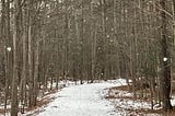 A trail covered with snow