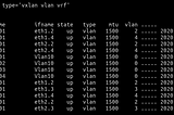 Output of interface show for virtual networks