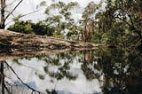 Minyon Falls— Australia