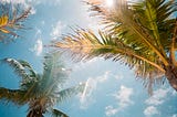 Is This the New Tropics?