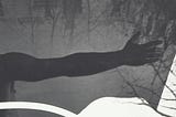 Four seasons of slow looking