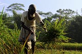 Why Indian Farmers Are Protesting – 5 Things You Need To Know