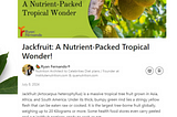🌟 Jackfruit: A Nutrient-Packed Tropical Wonder! 🌟