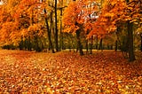 What is Stopping You from Achieving Your Best Season?