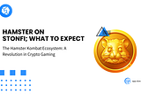 Hamster on stonfi; what to expect