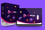 Vidmingo - Is it Legit or Scam? Full Review