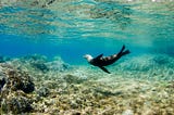 Dive into Adventure: Exploring the Best Snorkeling Tours in Cabo San Lucas