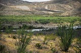 Photo of the Texas-Mexico border with a narrow strip of the Rio Grande flowing between the two countries. Green bushes in the foreground. Stark brown hills in the background.