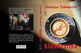 12. “The Clandestina,” a fantasy novel by Jasmina Tesanovic, Part Twelve