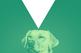 An image of a dog with eyes closed, and a graphic arrow pointing to his head, signifying “dropping” into meditation