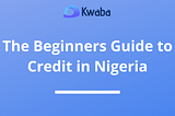 The Beginners Guide to Credit in Nigeria
