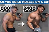 Can You Gain Muscle While Cutting?