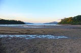 Starfish Bay Biodiversity