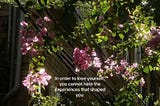 Maybe You’re Loved More Than You Think You Are