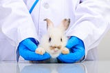 Animal Product Testing in China Decoded