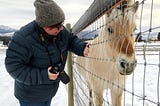 HORSES IN KELOWNA BC