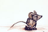 The Running Mouse